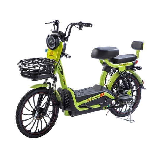 W11 20 Inch Fat Tire Electric Bicycle, Max Speed 25km/h, 500W, 20Ah