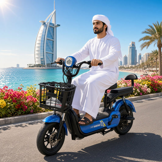 W2 14 Inch Electric Bicycle, Max Speed 25km/h, 350W, 48V Battery
