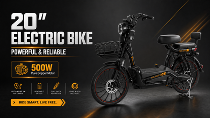 W11 20 Inch Fat Tire Electric Bicycle, Max Speed 25km/h, 500W, 20Ah