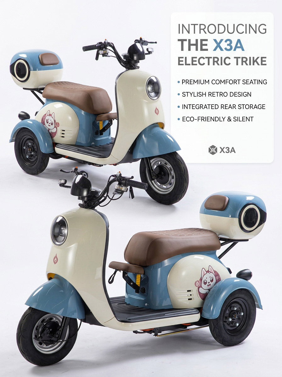X3A Electric City Bicycle, Max Speed 25km/h, 600W, 48V20Ah Battery