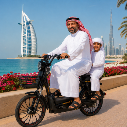 W11 20 Inch Fat Tire Electric Bicycle, Max Speed 25km/h, 500W, 20Ah