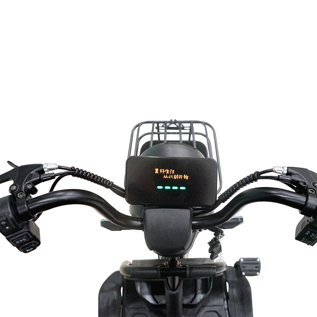 X3B Electric Bike, Max Speed 25km/h, 600W, 40km Range