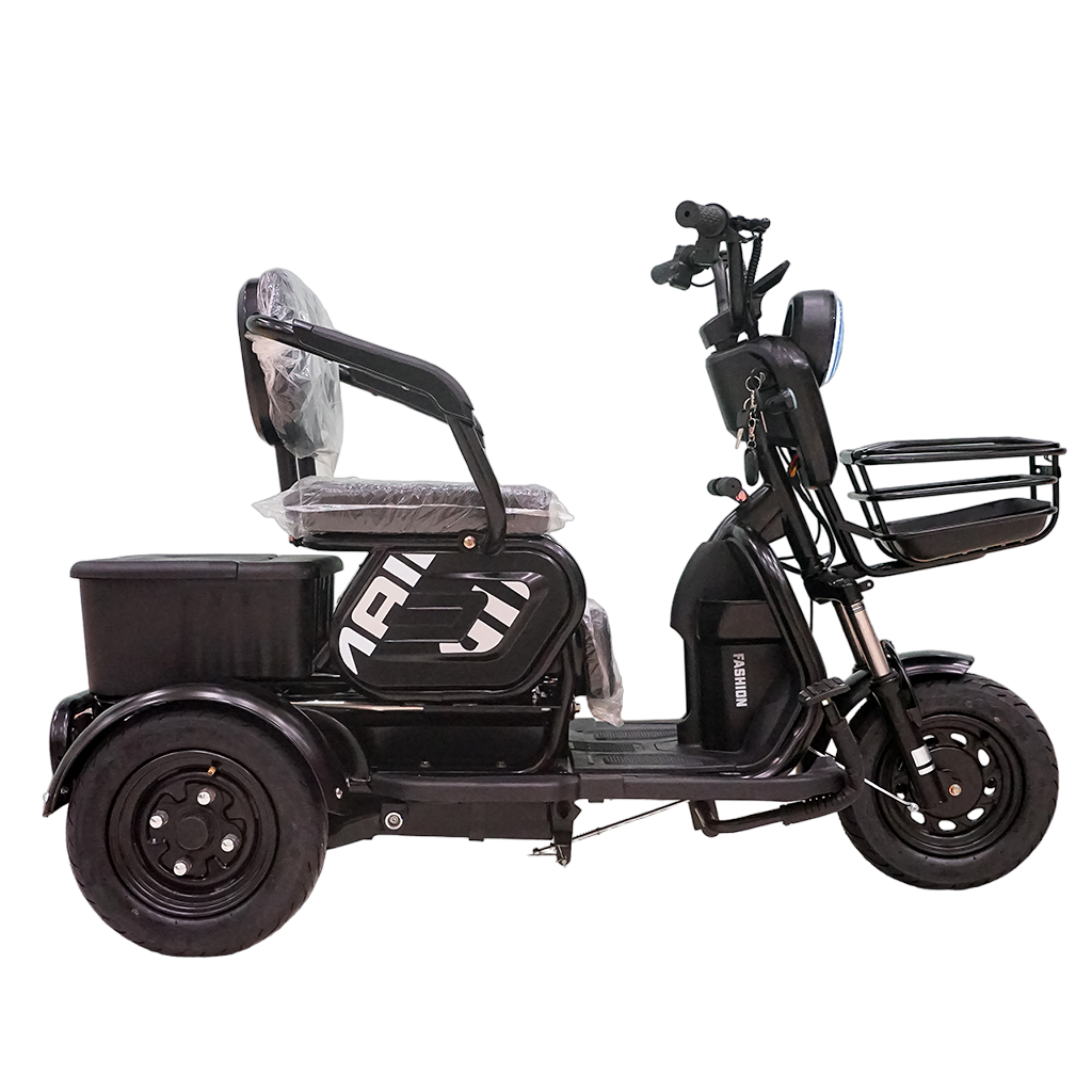 X3B Electric Bike, Max Speed 25km/h, 600W, 40km Range