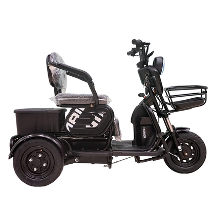 X3B Electric Bike, Max Speed 25km/h, 600W, 40km Range