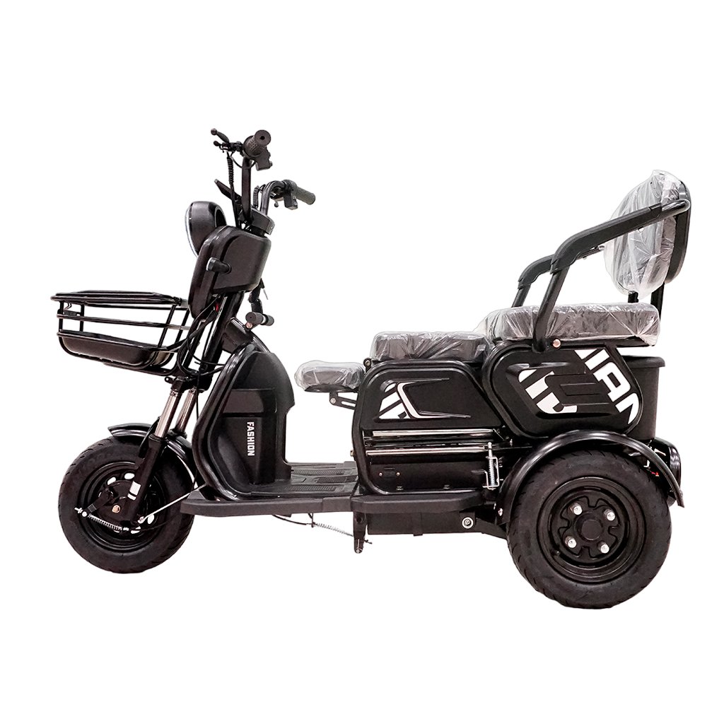 X3B Electric Bike, Max Speed 25km/h, 600W, 40km Range
