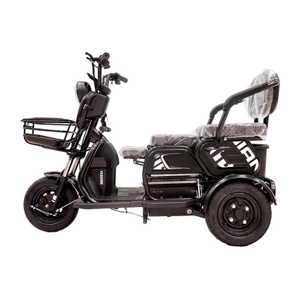 X3B Electric Bike, Max Speed 25km/h, 600W, 40km Range