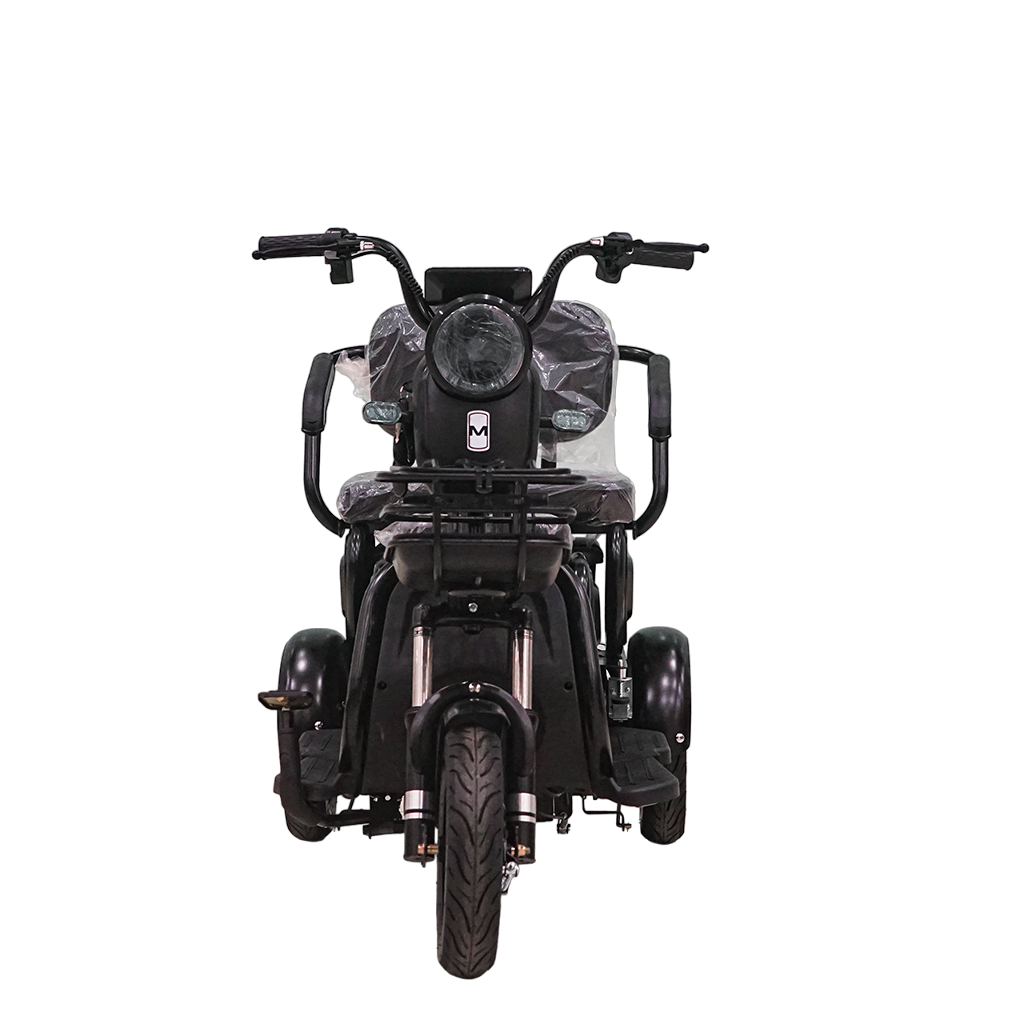 X3B Electric Bike, Max Speed 25km/h, 600W, 40km Range