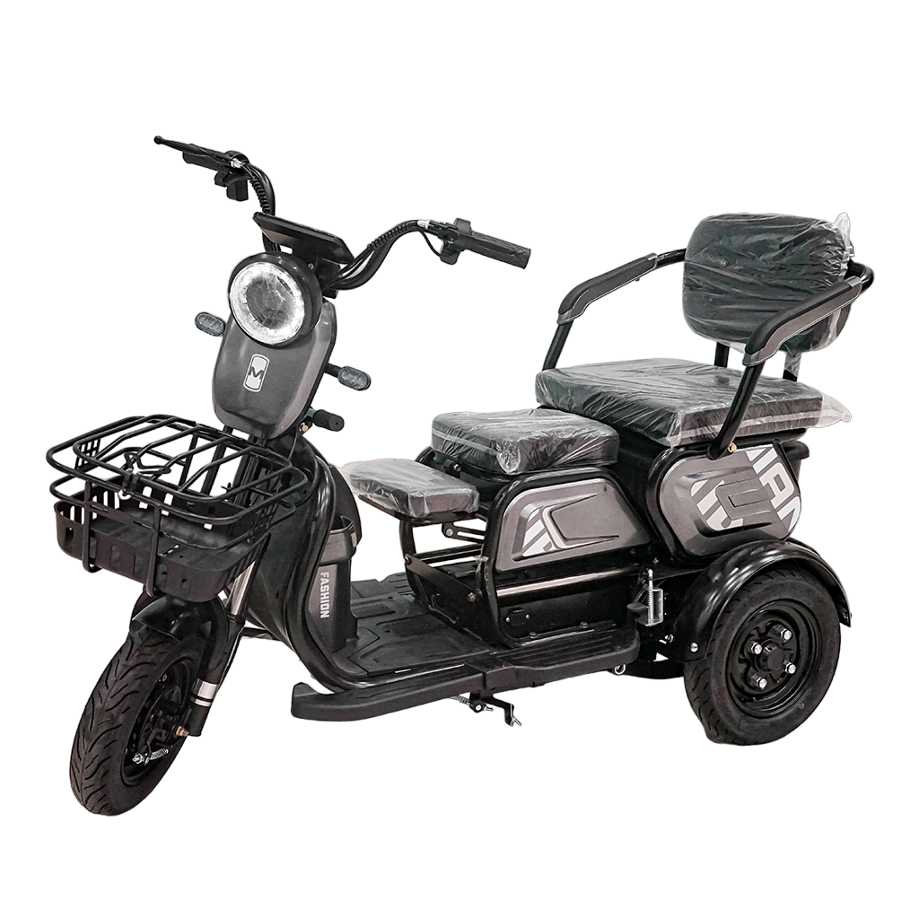 X3B Electric Bike, Max Speed 25km/h, 600W, 40km Range