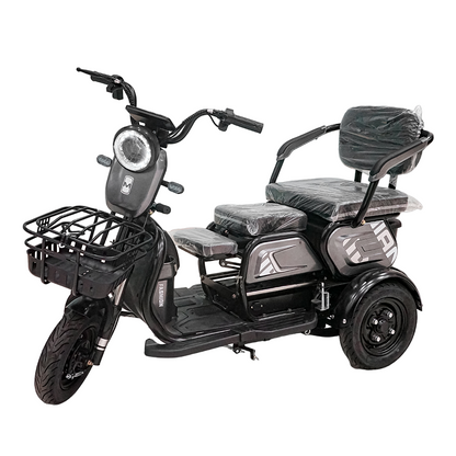 X3B Electric Bike, Max Speed 25km/h, 600W, 40km Range