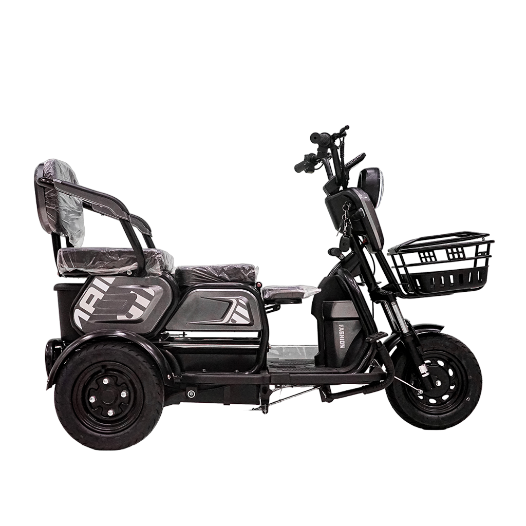 X3B Electric Bike, Max Speed 25km/h, 600W, 40km Range