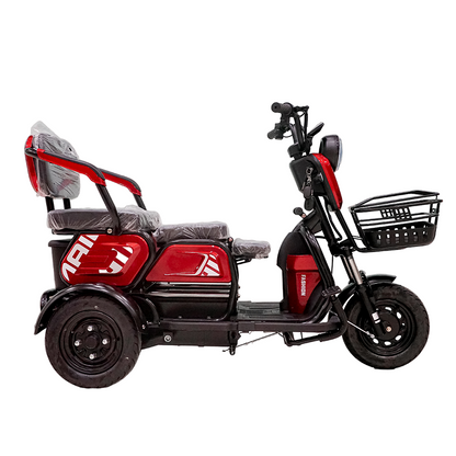 X3B Electric Bike, Max Speed 25km/h, 600W, 40km Range