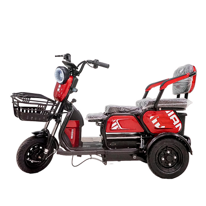 X3B Electric Bike, Max Speed 25km/h, 600W, 40km Range