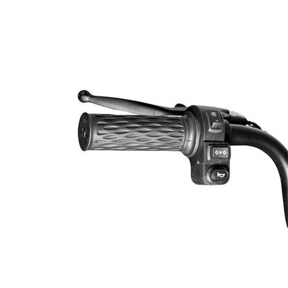 X3B Electric Bike, Max Speed 25km/h, 600W, 40km Range