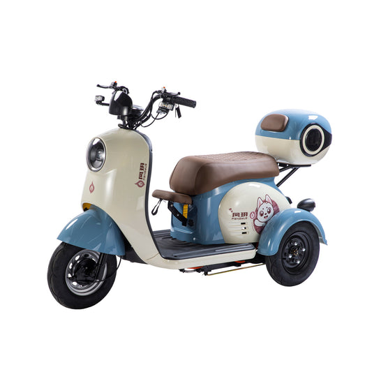 X3A Electric City Bicycle, Max Speed 25km/h, 600W, 48V20Ah Battery