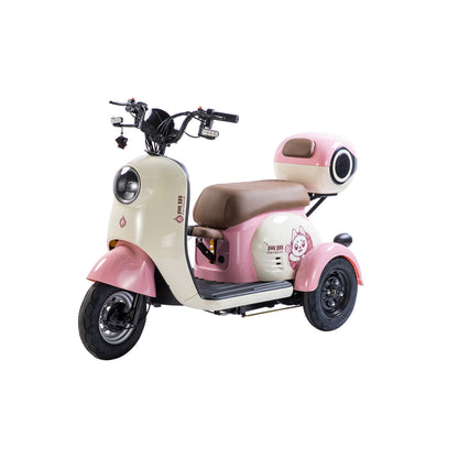 X3A Electric City Bicycle, Max Speed 25km/h, 600W, 48V20Ah Battery