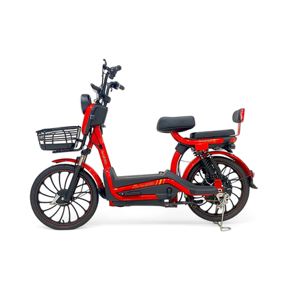 W11 20 Inch Fat Tire Electric Bicycle, Max Speed 25km/h, 500W, 20Ah
