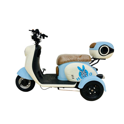 X3A Electric City Bicycle, Max Speed 25km/h, 600W, 48V20Ah Battery
