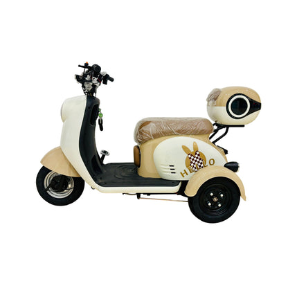 X3A Electric City Bicycle, Max Speed 25km/h, 600W, 48V20Ah Battery