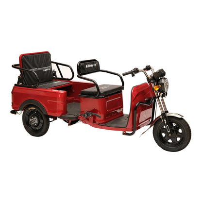 X1A X1B 3-Wheel Electric Scooter, Max Speed 25km/h, 35km Range, 800W Motor