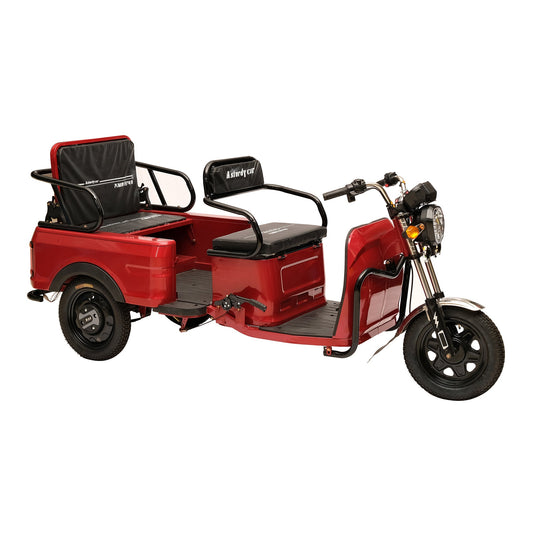 X1A X1B 3-Wheel Electric Scooter, Max Speed 25km/h, 35km Range, 800W Motor