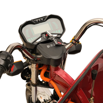 X1A X1B 3-Wheel Electric Scooter, Max Speed 25km/h, 35km Range, 800W Motor