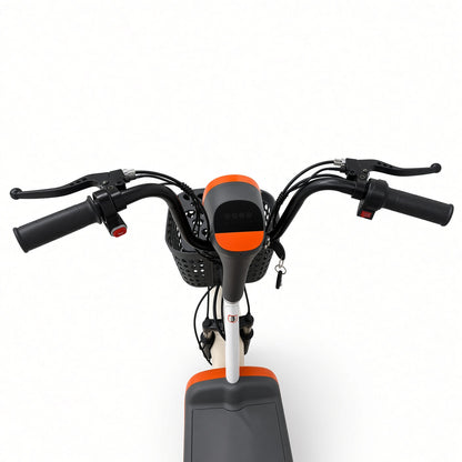 W9 Electric Scooter 350W Brushless Motor 48V 12Ah Lead-Acid/Lithium Optional 25-35km/h 25-60km Range