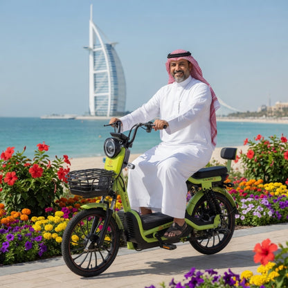 W11 20 Inch Fat Tire Electric Bicycle, Max Speed 25km/h, 500W, 20Ah