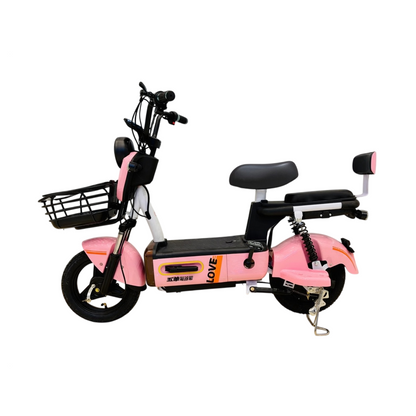 W12 14 Inch Electric Bicycle, Max Speed 25km/h, 350W, 20Ah Battery