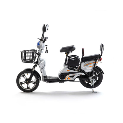 W6 14 Inch Electric Bicycle, Max Assisted Speed 25km/h, 350W, 48V12Ah
